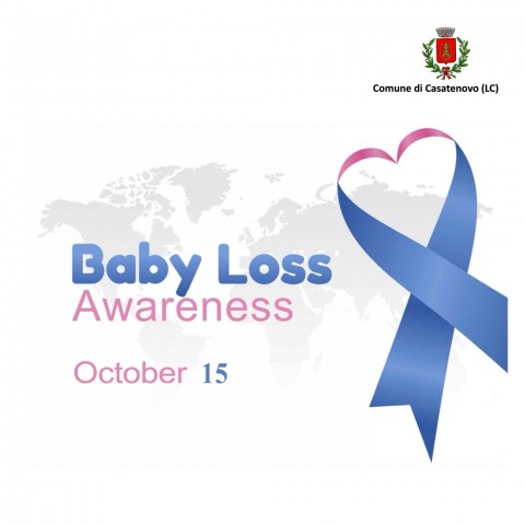 babylossawarenessday