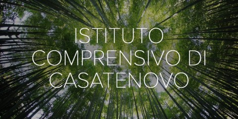 comprensivo casatenovo