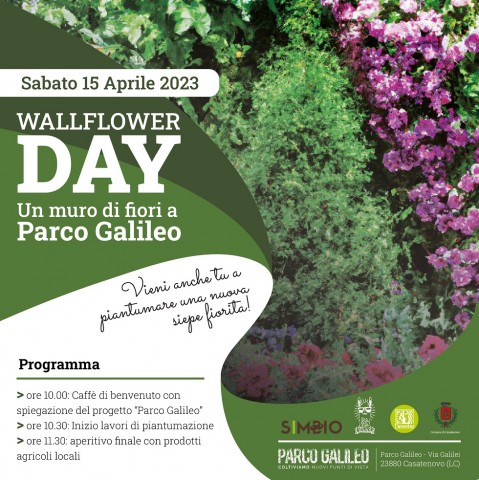 wallflower day